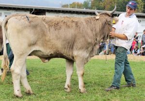 141011Nidwalden 086